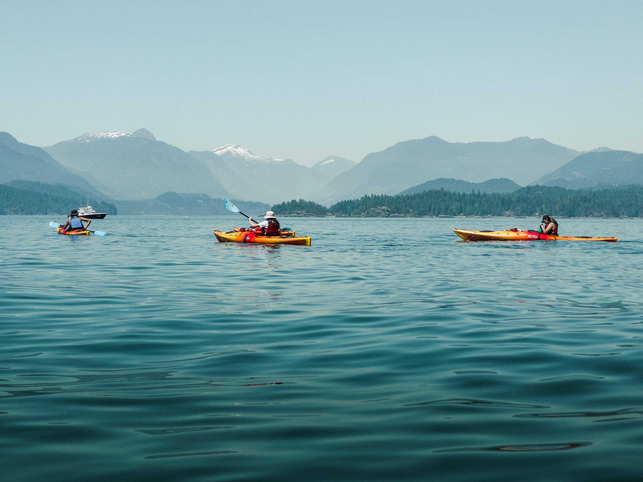 guided kayak tours vancouver island